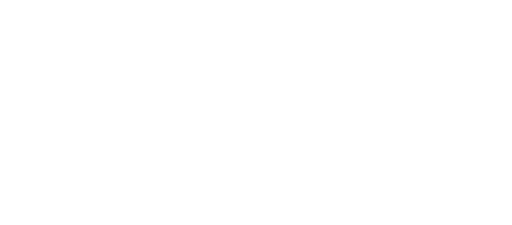 Fernost-Flug-Service GmbH