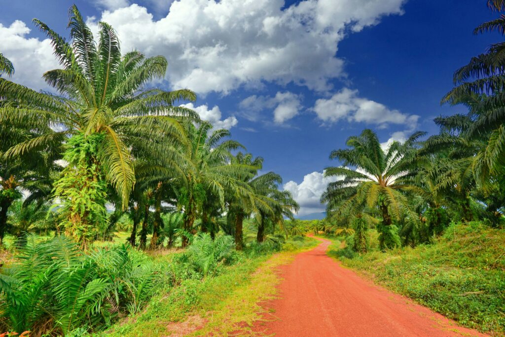 Tag 11: Kampot