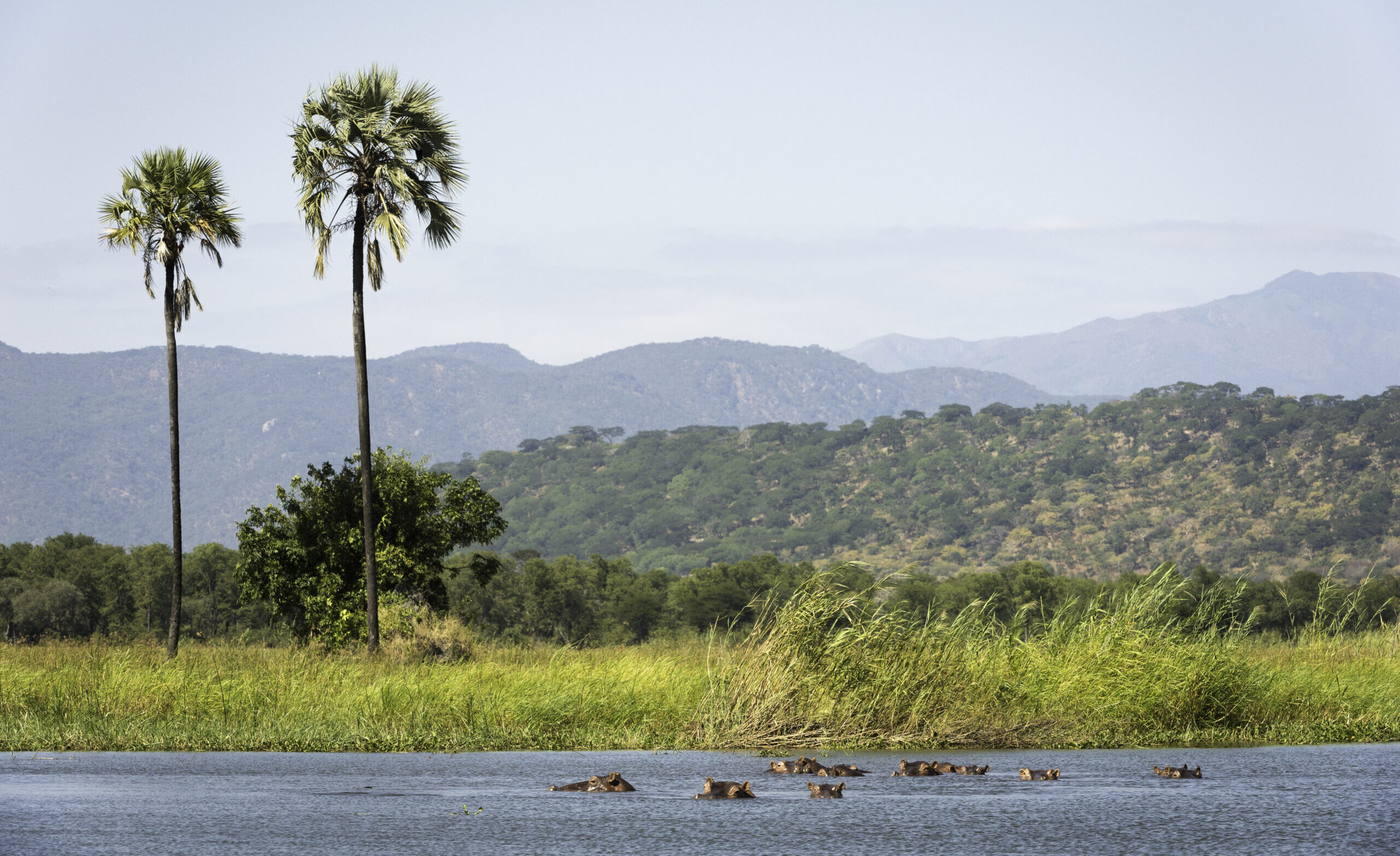 Malawi – Beach und Bush