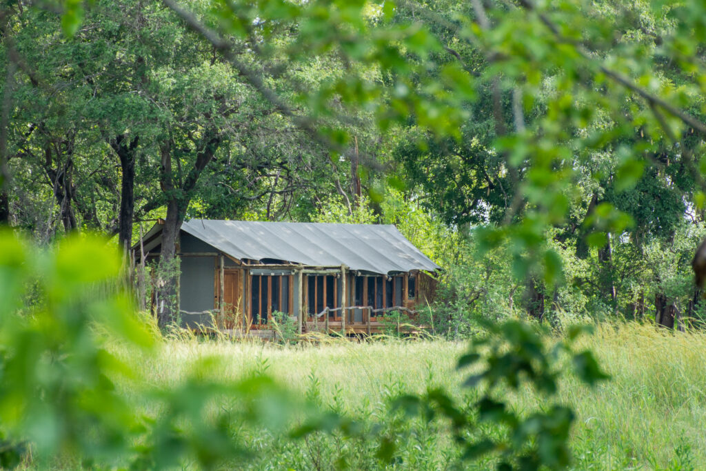 Tag 2 + 3: Kwara Camp