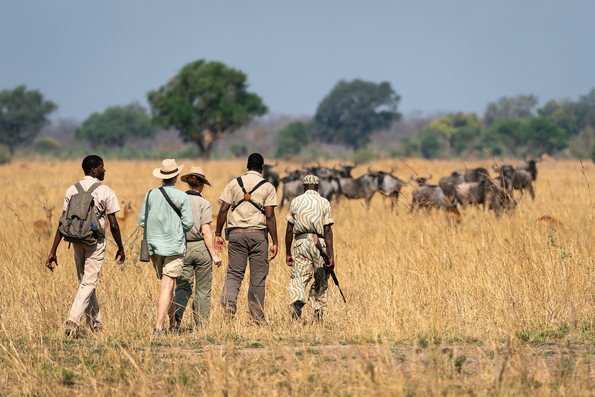 Wandersafari South Luangwa