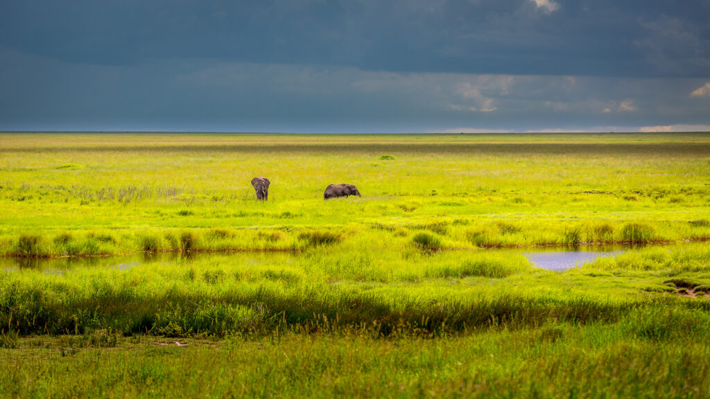 Tag 6: Ngorongoro - Serengeti Southwest