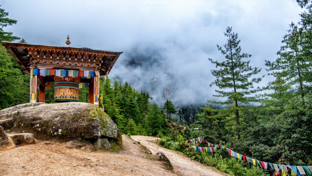 Tag 7: Jangothang - Dhumzo Chhu (3800m)