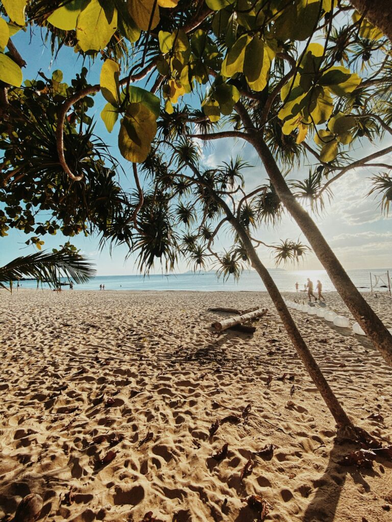 Tag 3: Ranong  - Koh Payam