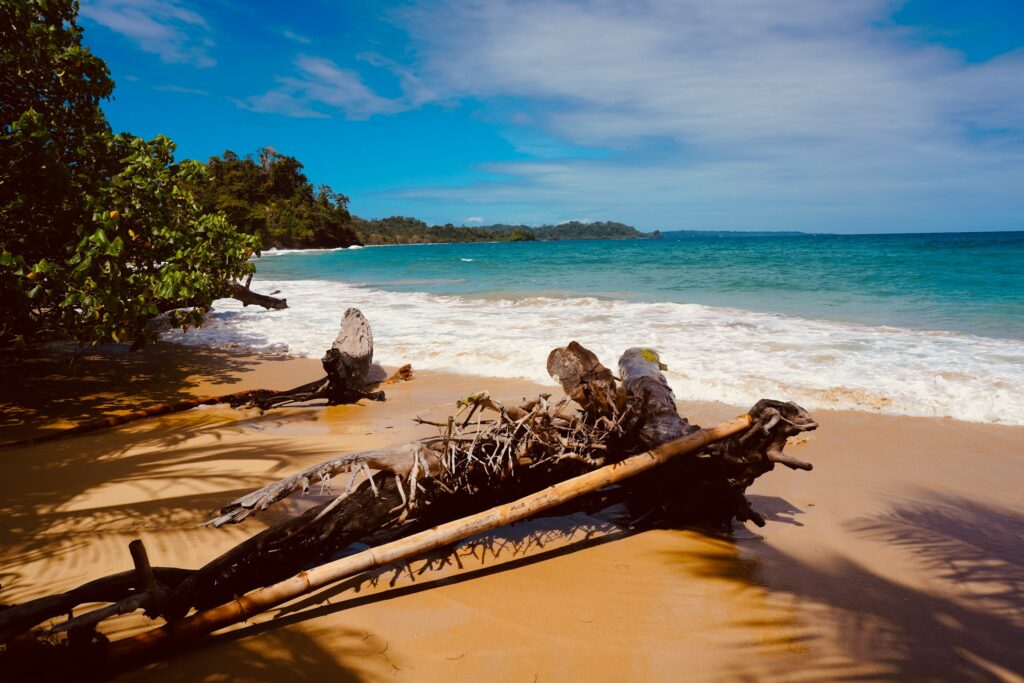 Tag 11: Pedasi - Playa Venao