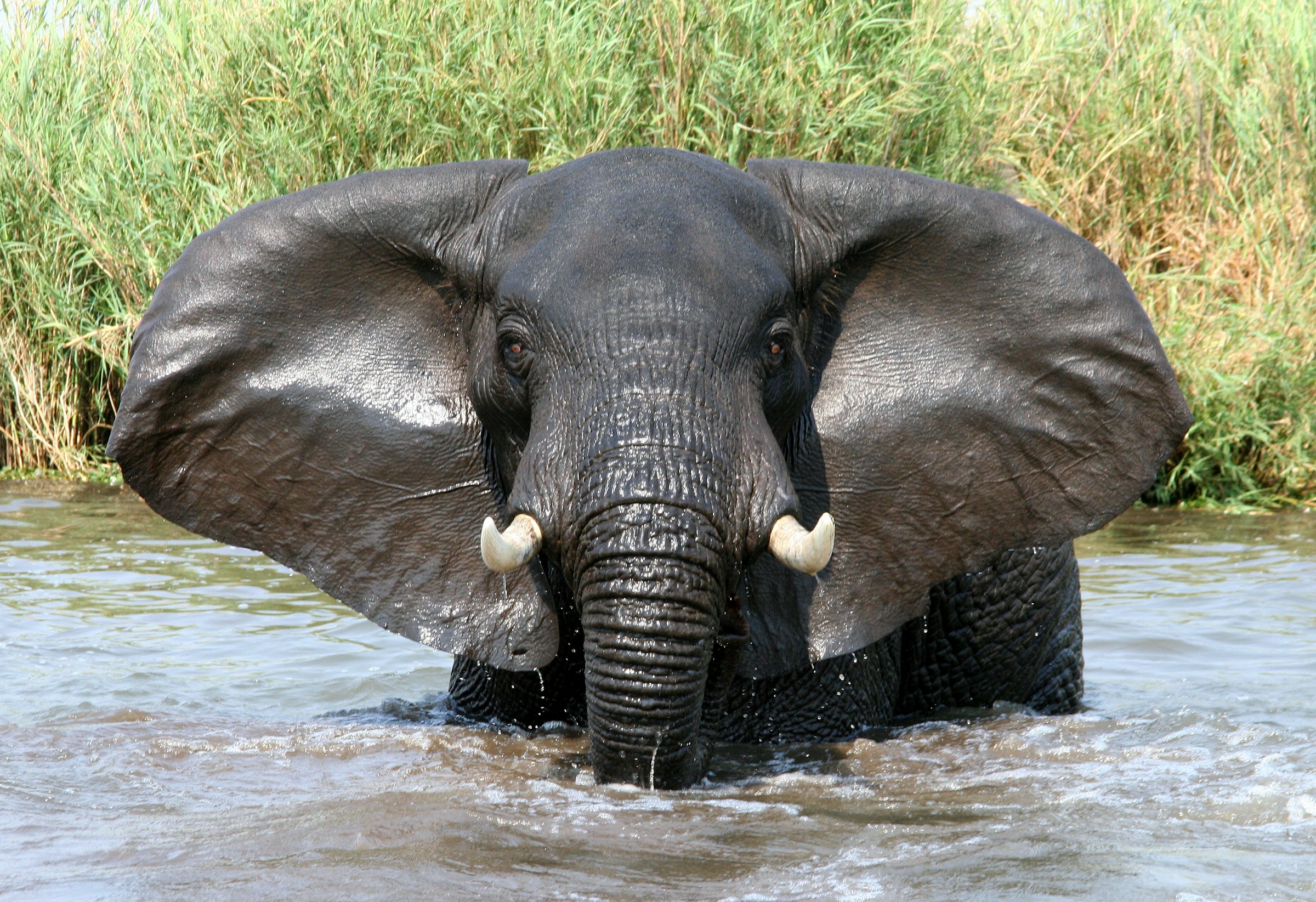 Malawi