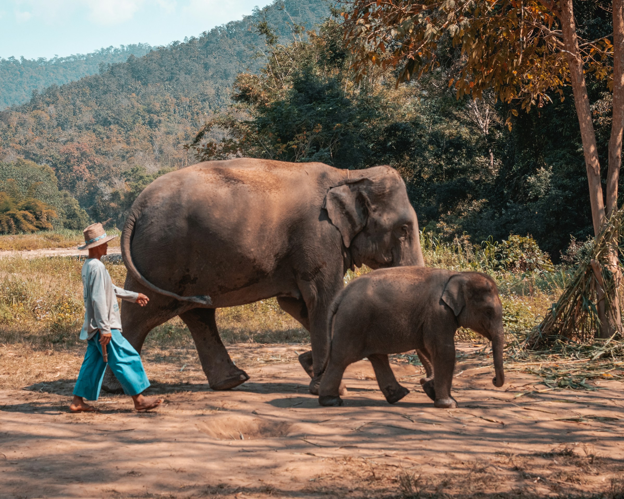 Nordthailand Explorer