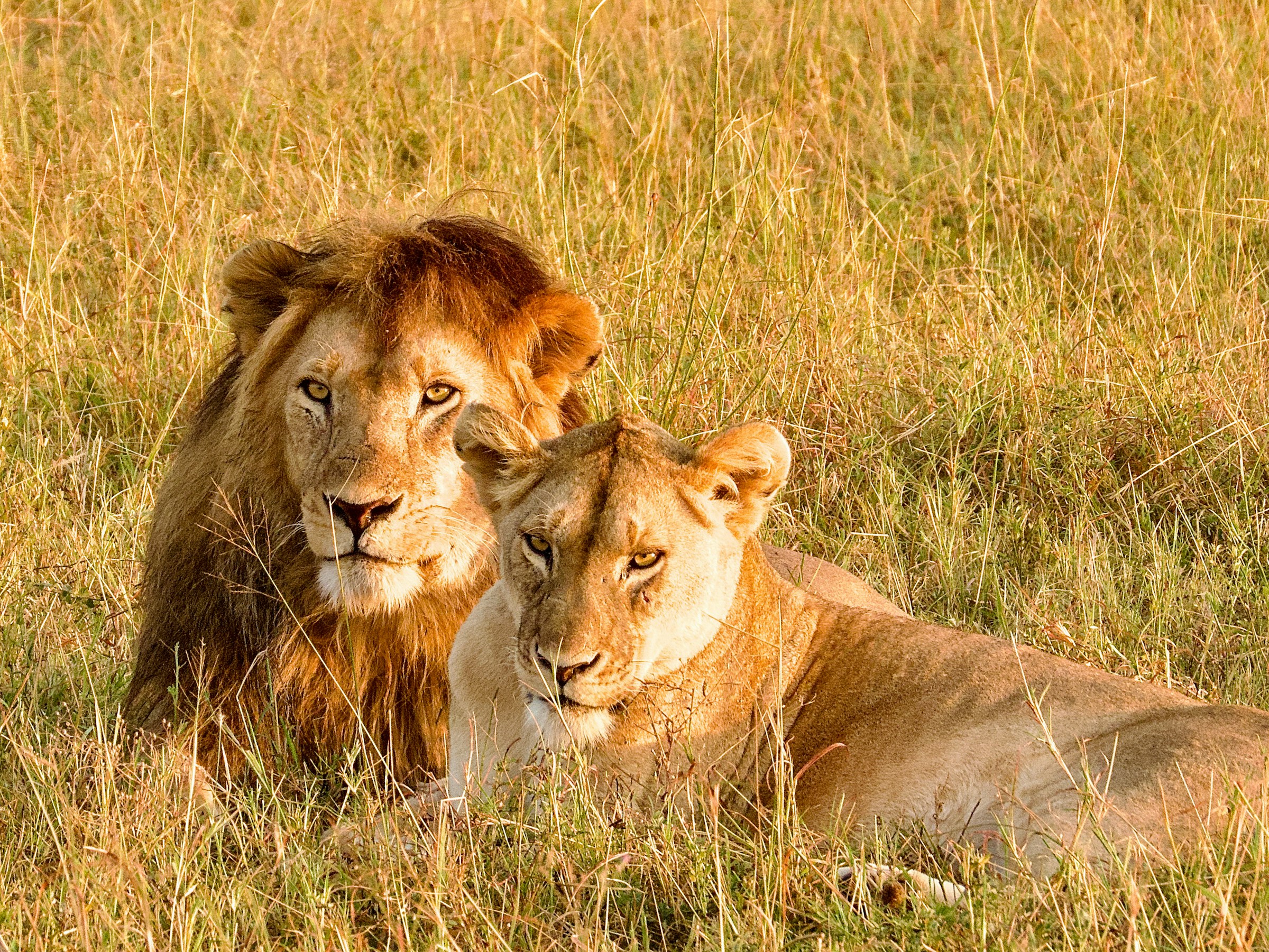 Best of Tanzania + Zanzibar