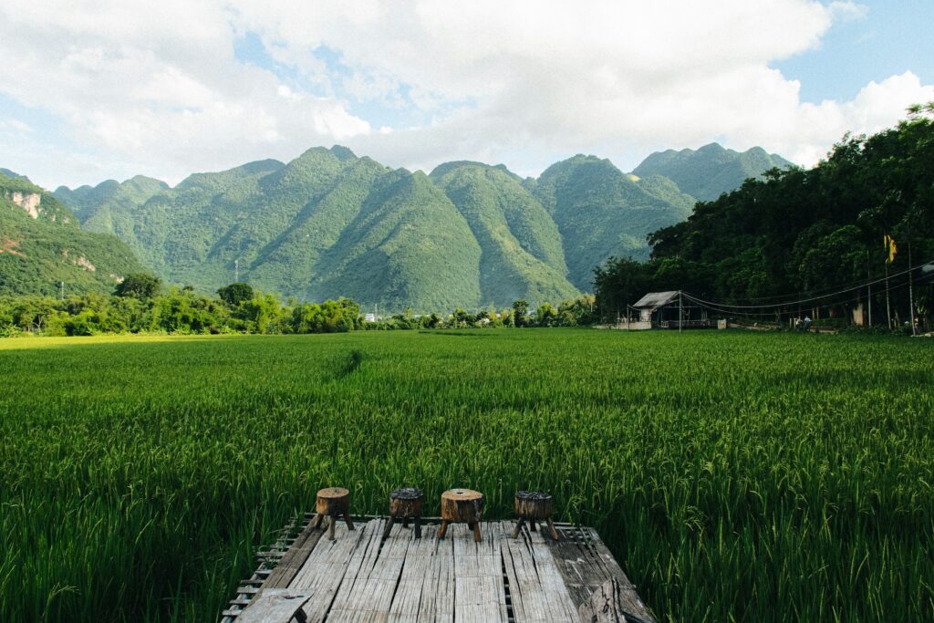 Tag 7: Son La - Mai Chau
