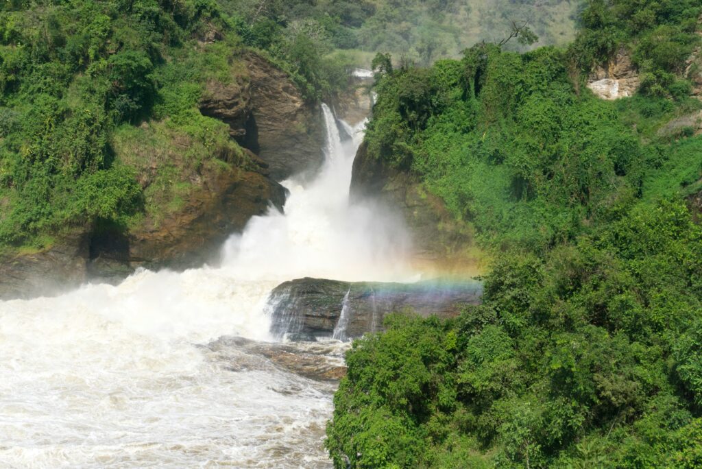 Tag 4: Murchison Falls Nationalpark