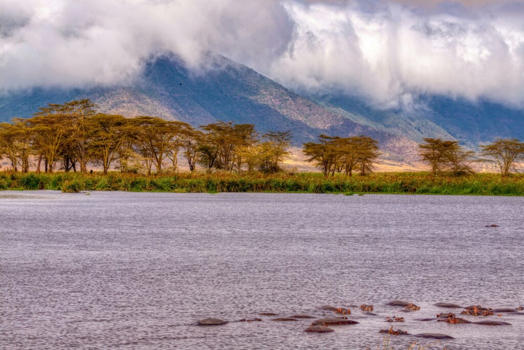 Tag 3: Ngorongoro Krater