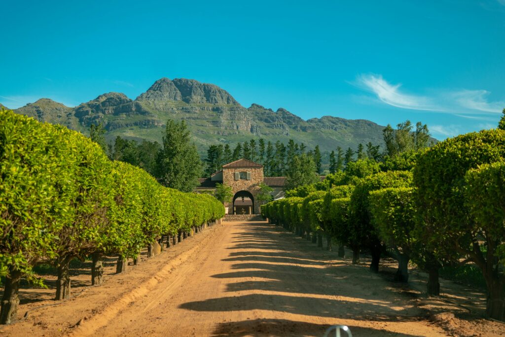 Tag 8: Oudtshoorn - Stellenbosch