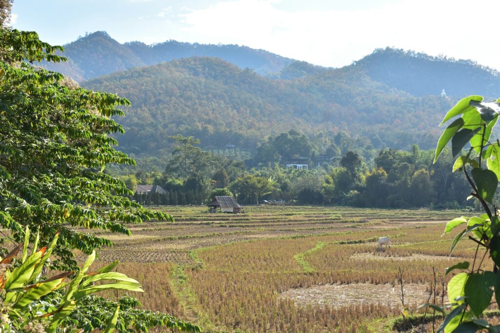 Tag 3: Thaton - Pai