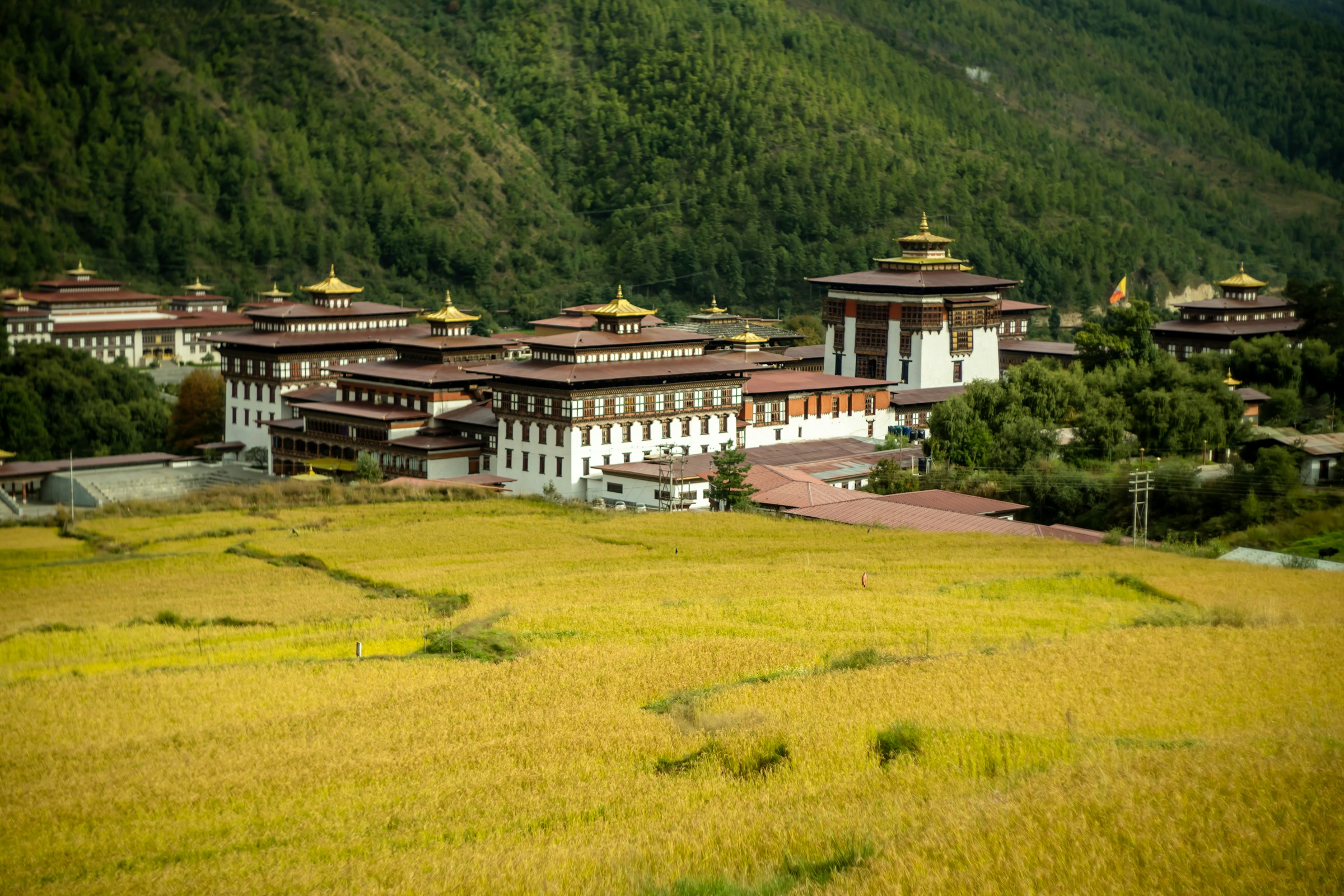Von Nepal nach Bhutan
