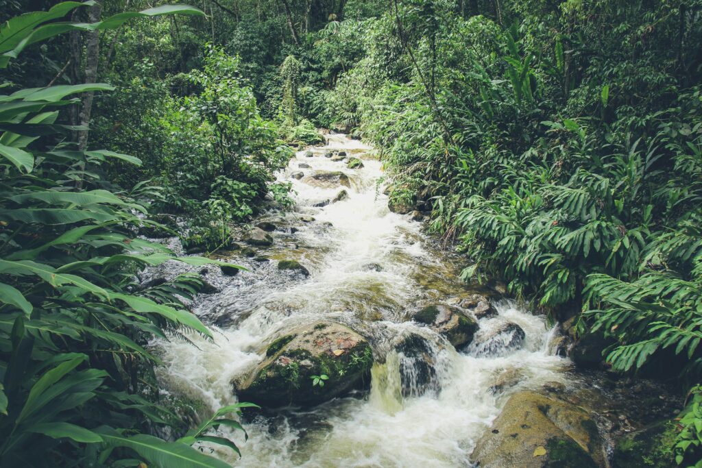 Tag 11: Aguas Calientes - Cusco
