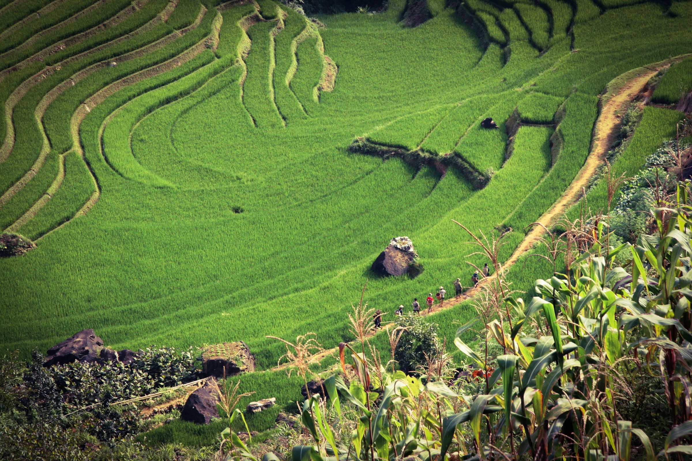 Vietnam Entdecker Tour