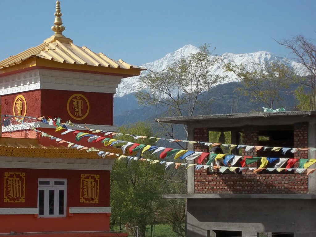 Tag 6: Dharamsala - Palampur