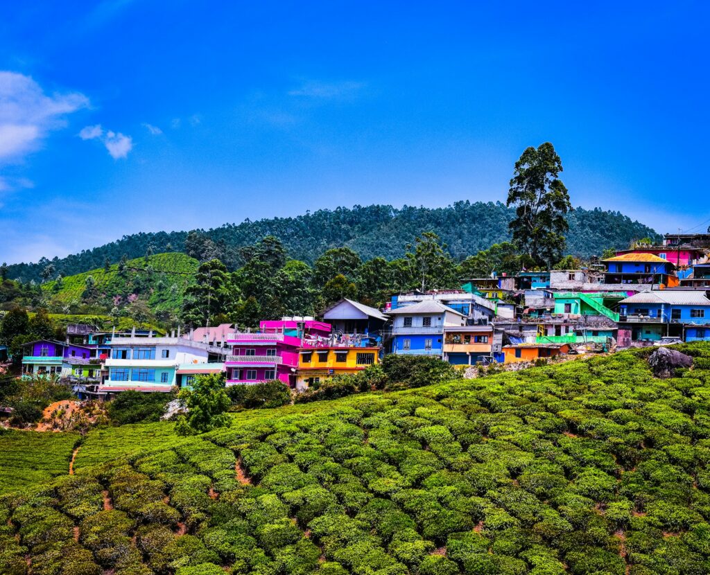 Tag 16: Kochi - Munnar