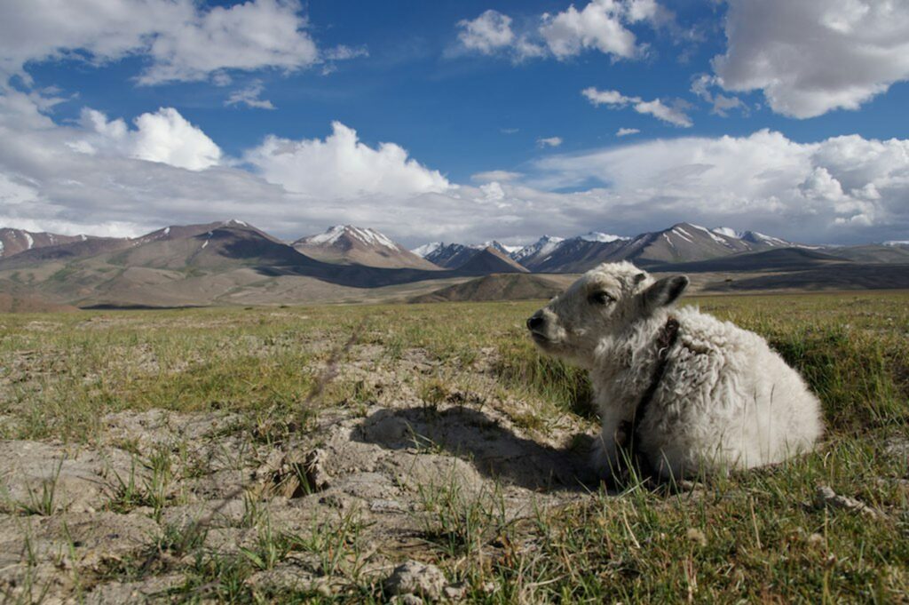 Tag 8: Langar - Bulunkul - Murghab