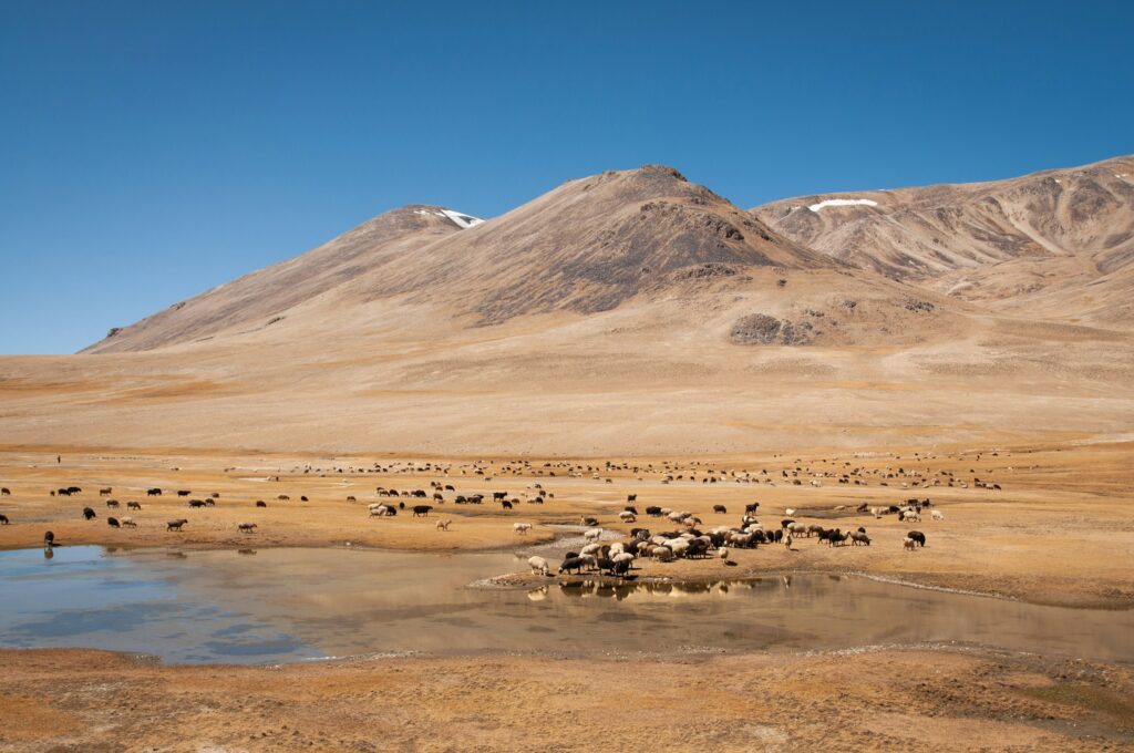 Tag 7: Langar - Wakhan-Korridor - Langar
