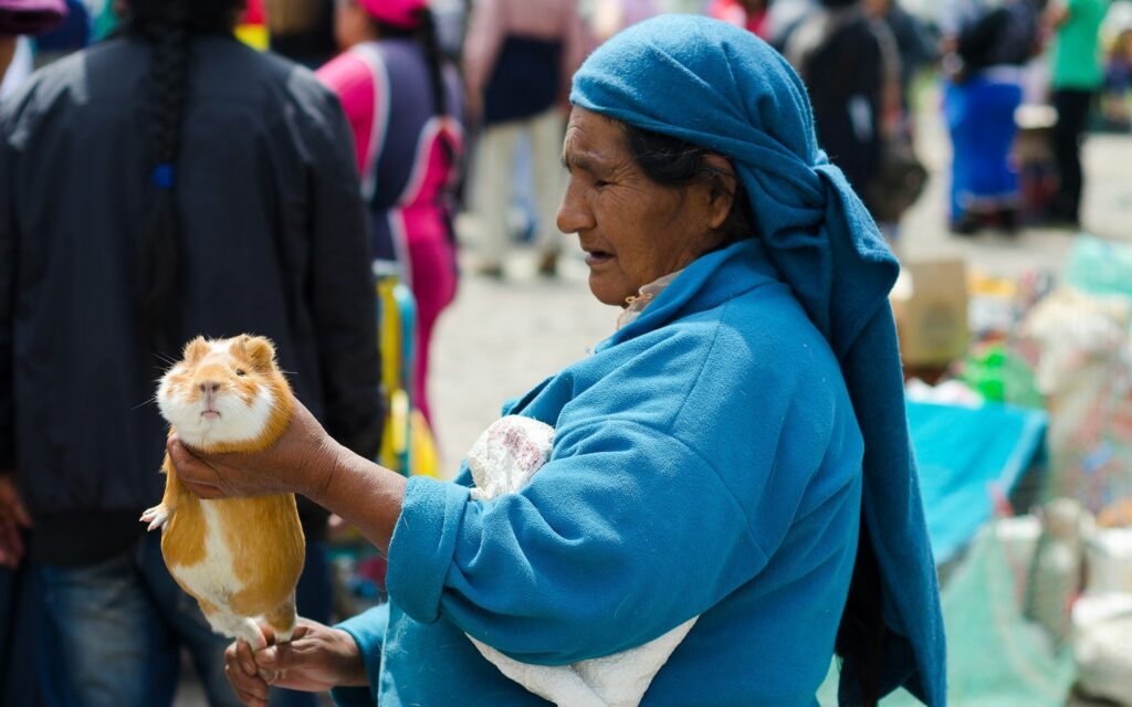 Tag 5: Otavalo - Quito