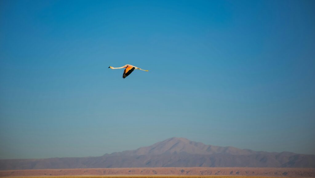 Tag 10: Purmamarca - San Pedro de Atacama
