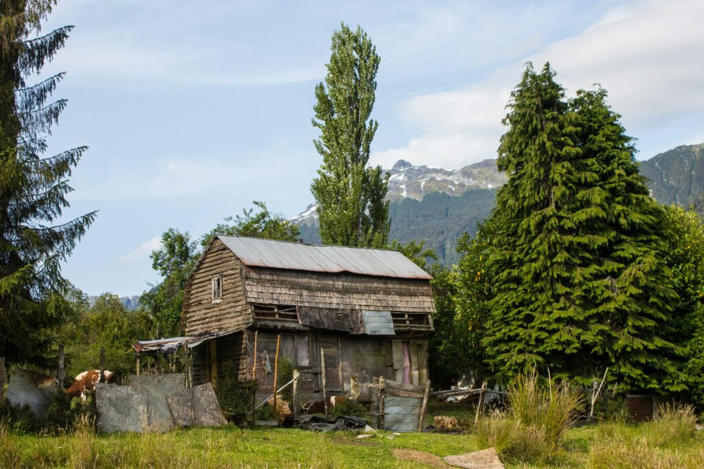 Tag 7: Futaleufu - Lago Lonconao - Lago Yelcho - Caleta Gonzalo